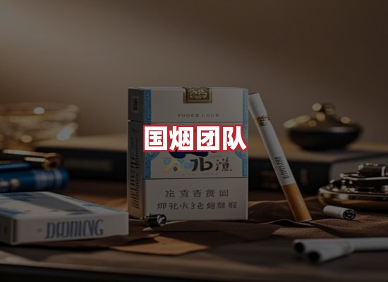 国烟团队